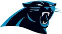 PFPANTlogopanther